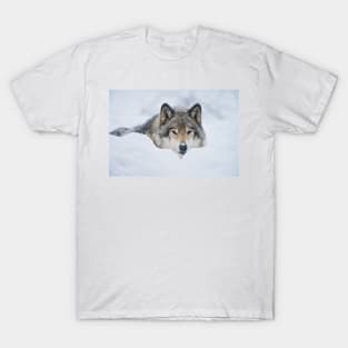 Gray Wolf T-Shirt